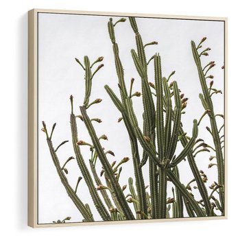 Obraz w ramie 50x50 - Ekskluzywna Roślinność - kaktusy, liście - rama drewno