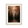 Plakat w ramie 30x40 - Drzewa w Czerwonych Liściach - las, jesienny las - rama drewno