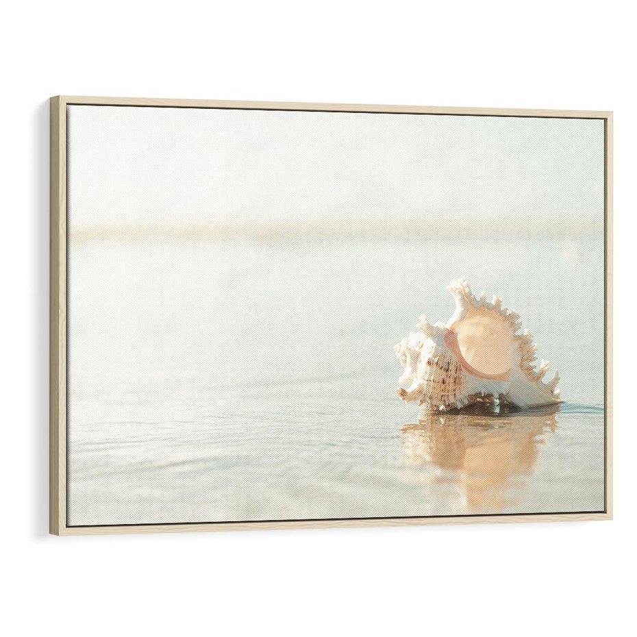 Obraz w ramie 70x50 - Spokój Plaży - fotografia, biała muszla na plaży - rama drewno