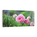 Obraz na płótnie 100x50 - Różane Ukojenie - róże, kwiaty