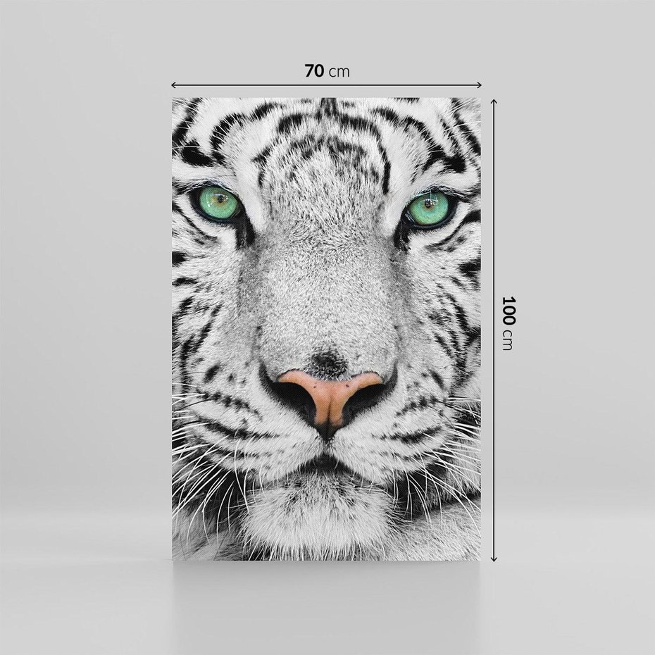 Obraz na płótnie 70x100 - Magia Białego Tygrysa - biały, tygrys