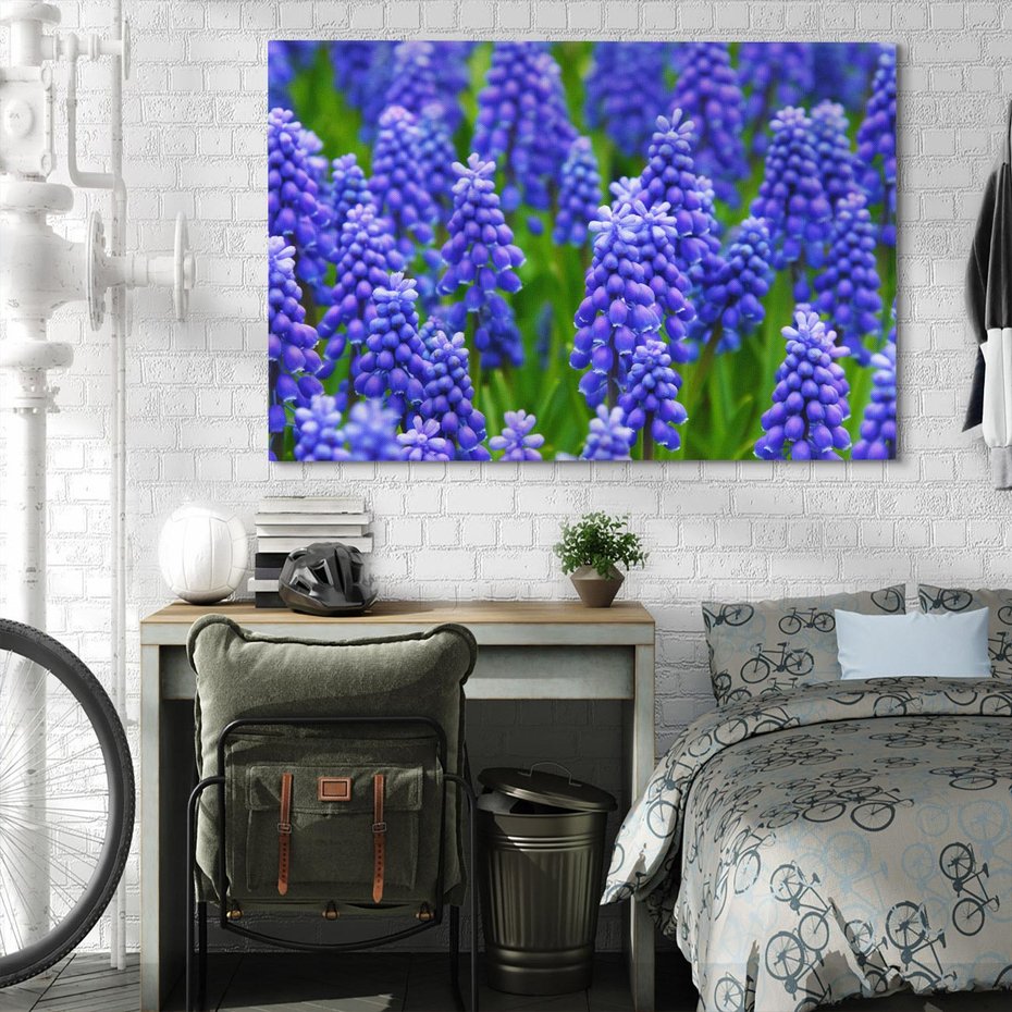 Obraz na płótnie 70x50 - Urok Lawendy - lawenda, kwiat