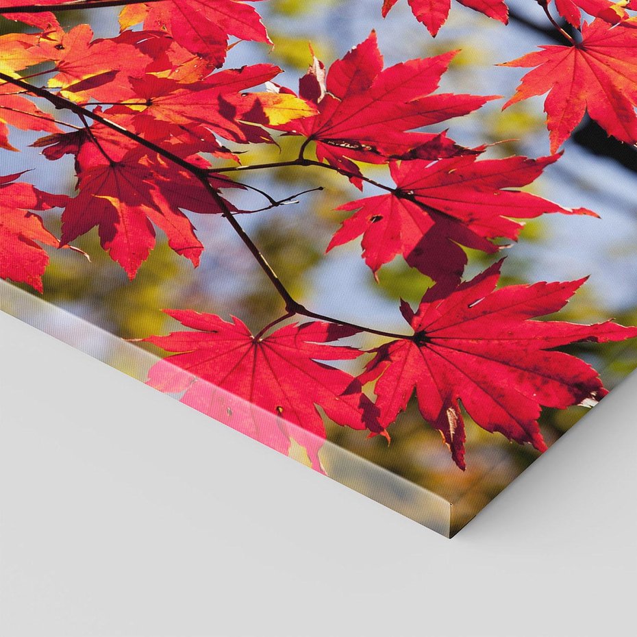 Obraz na płótnie 120x80 - Jesienny Urok Drzewa i Opadających Liści - drzewo, liście