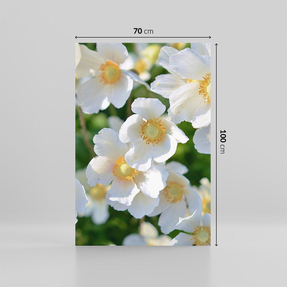 Obraz na płótnie 70x100 - Kwiatowy Raj - kwiat, kwiaty