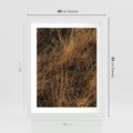 Plakat w ramie 40x50 - Szlachetna Suchość Traw - trawy, suche trawy - rama biała