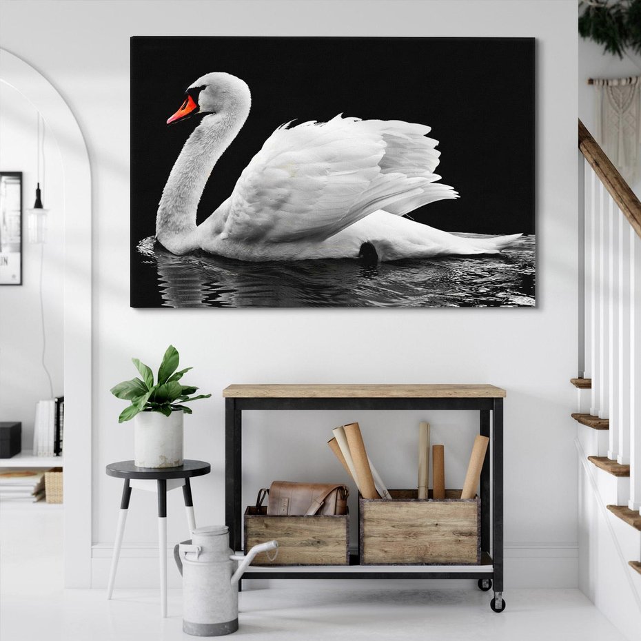 Obraz na płótnie 70x50 - Delikatne Uderzenie Skrzydeł Łabędzia - łabędź, ptak