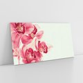 Obraz na płótnie 140x70 - Orchidea - delikatne kwiaty - orchidea, kwiaty