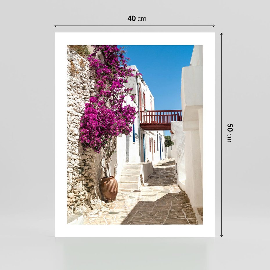 Plakat bez ramy 40x50 - Kwiaty Chorwacji - kwiaty, Chorwacja