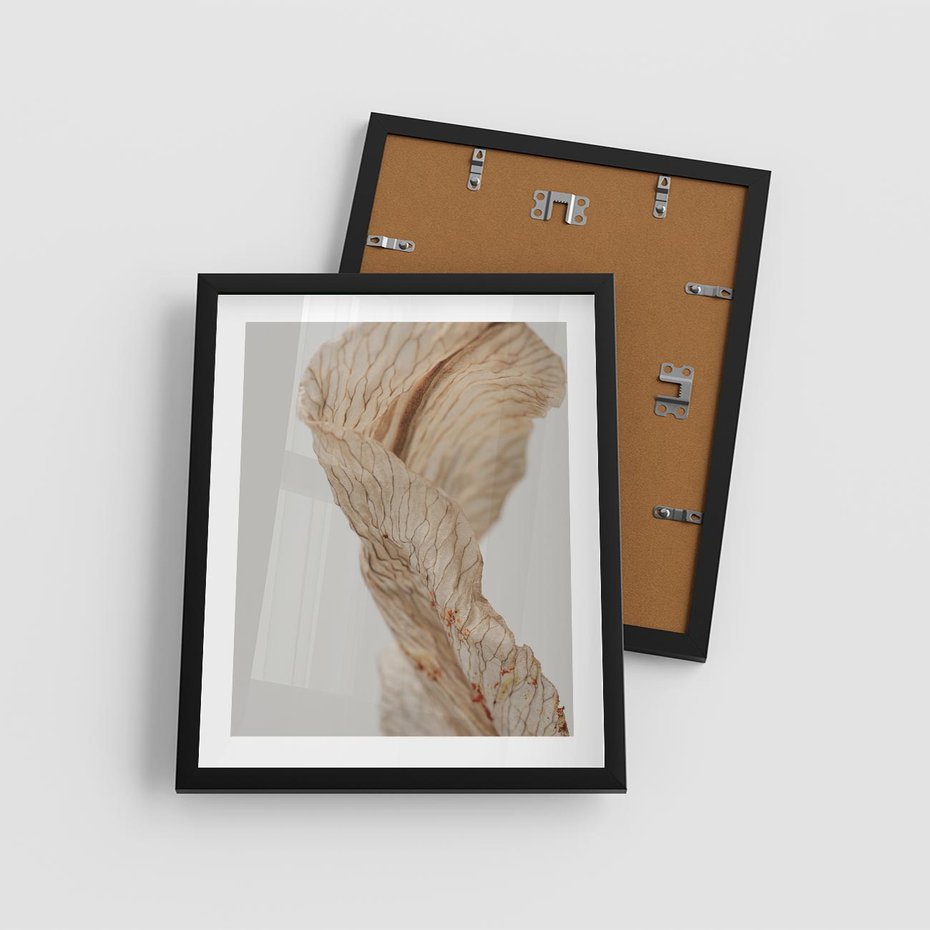 Plakat w ramie 40x50 - Suszone piękno - susz, suche - rama czarna