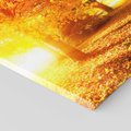 Obraz na płótnie 30x30 - Magia jesiennego lasu - las, drzewa
