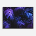 Obraz w ramie 70x50 - Mroczna Magia Dżungli - mroczna grafika, fioletowe liście monstery na czarnym tle - rama czarna