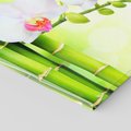 Obraz na płótnie 150x50 - Orchidea, Bambus i Relaks w SPA - orchidea, kwiat