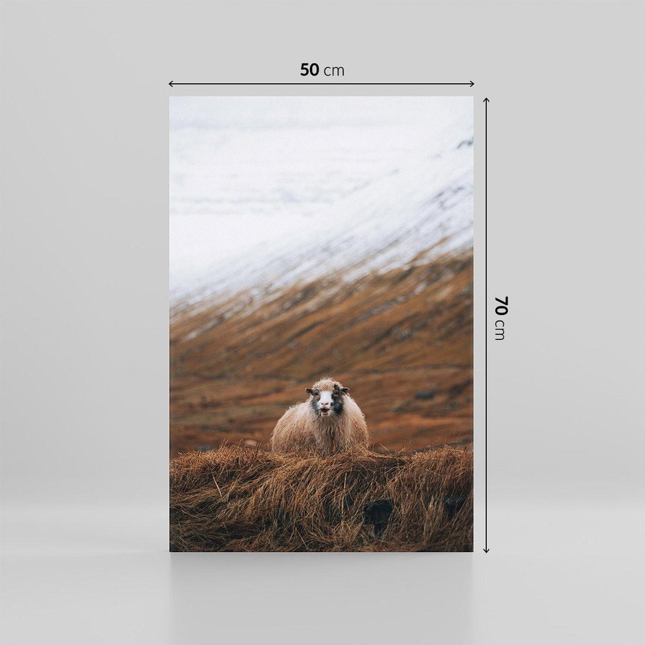 Obraz na płótnie 50x70 - Owiecka panorama - góry, owca