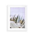Plakat w ramie 30x40 - Sukulentowe liście - liście, sukulenty - rama biała