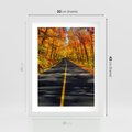 Plakat w ramie 30x40 - Droga przez jesienny las - droga, las - rama biała