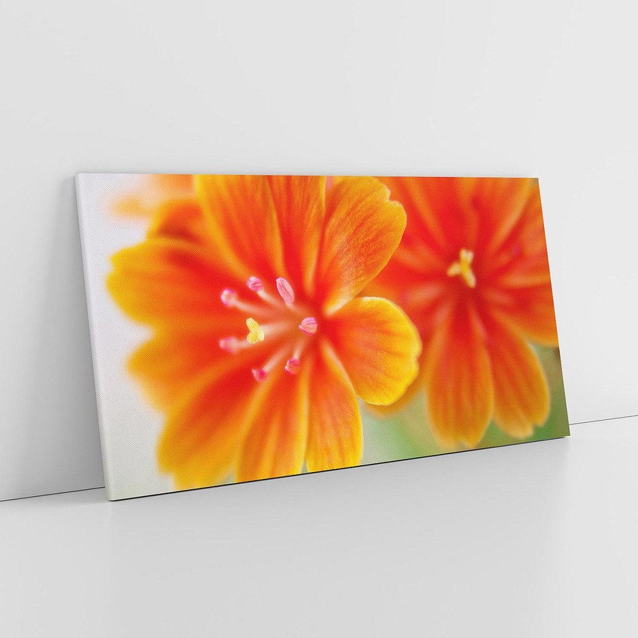 Obraz na płótnie 100x50 - Urok kwiatów - kwiat, kwiaty