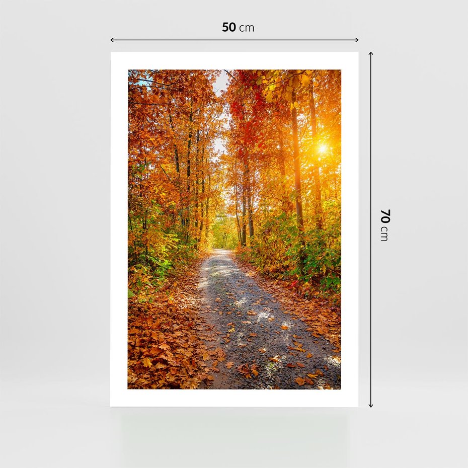 Plakat bez ramy 50x70 - Kolorowe drzewa na ścieżce jesieni - las, jesień