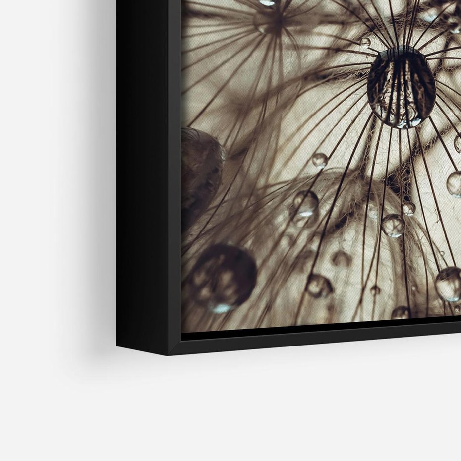 Obraz w ramie 50x50 - Lekkie dmuchawce - dmuchawce, krople - rama czarna