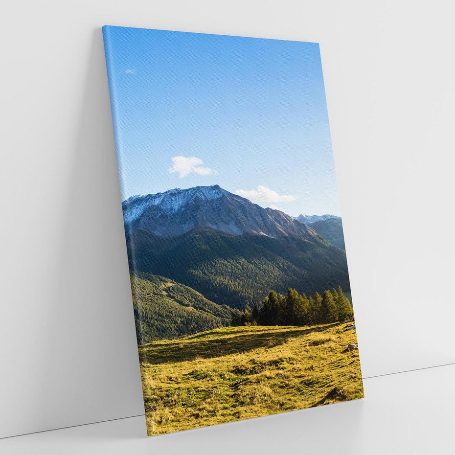 Obraz na płótnie 80x120 - Górski pejzaż: łąka i szczyty - góry, łąka