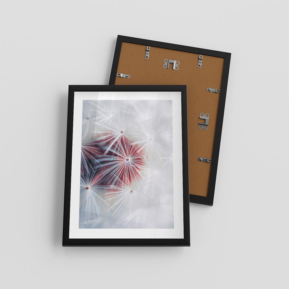 Plakat w ramie 30x40 - Minimalistyczna Delikatność - zbliżenie, dmuchawce - rama czarna