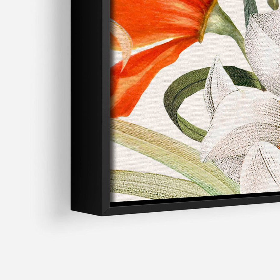 Obraz w ramie 50x70 - Polne Kwiaty - polne kwiaty, na białym tle - rama czarna