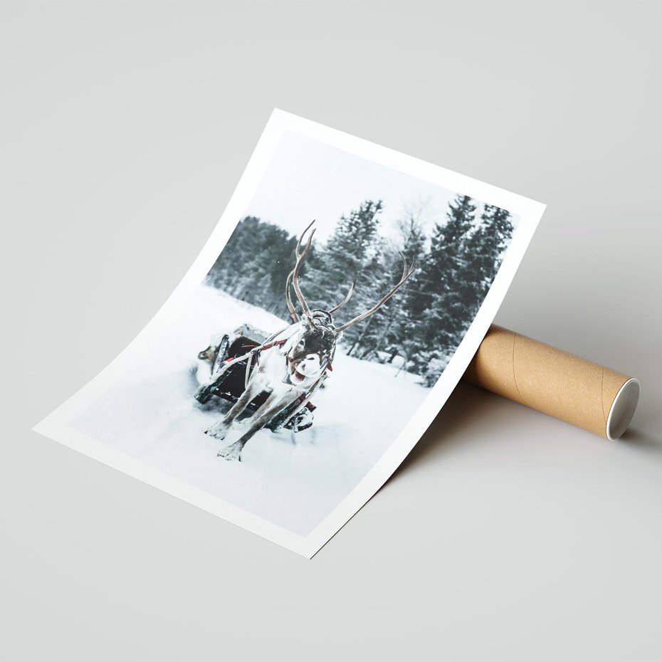 Plakat bez ramy 40x50 - Świąteczna Przygoda - renifer, śnieg