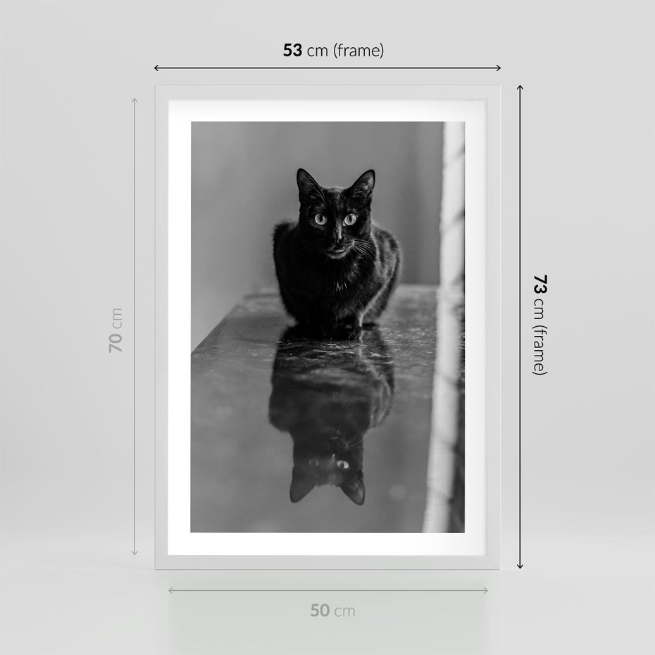 Plakat w ramie 50x70 - Kocie Oczy - kot, czarno białe zdjęcie - rama biała