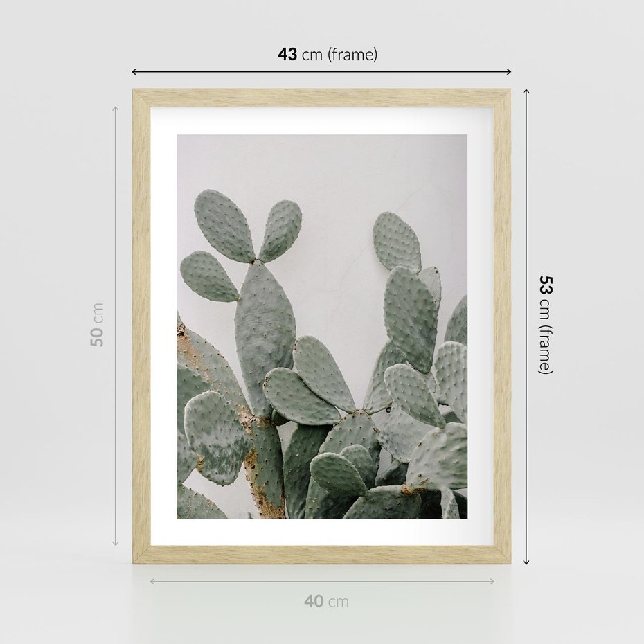 Plakat w ramie 40x50 - Imponujący Kaktus - duży kaktus, opuncja - rama drewno