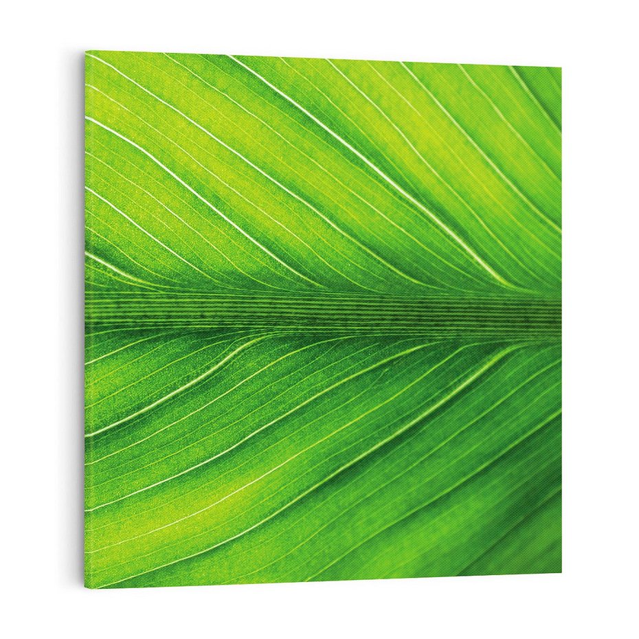 Obraz na płótnie 70x70 - Abstrakcja: interpretacje w liściach - liść, abstrakcja