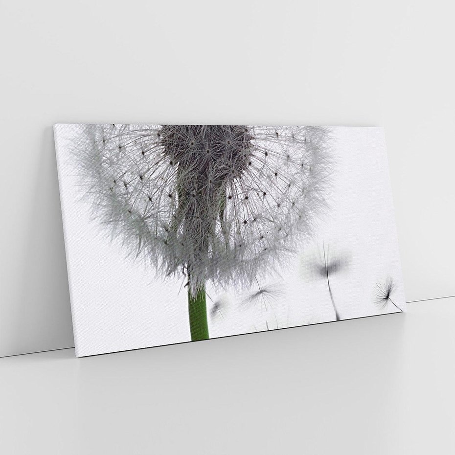 Obraz na płótnie 120x60 - Lekkość Przemijania - dmuchawiec, makro