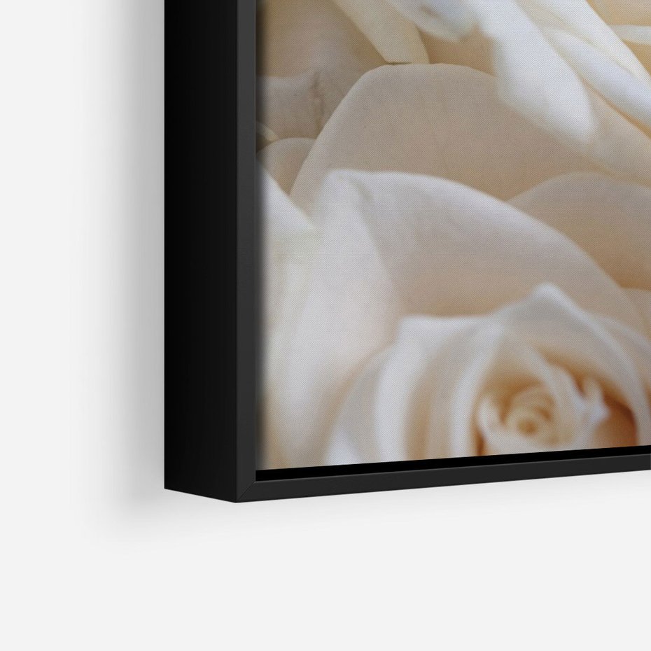 Obraz w ramie 70x100 - Białe róże piękności - białe, róże - rama czarna