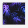 Obraz w ramie 80x80 - Mroczna Magia Dżungli - mroczna grafika, fioletowe liście monstery na czarnym tle - rama biała