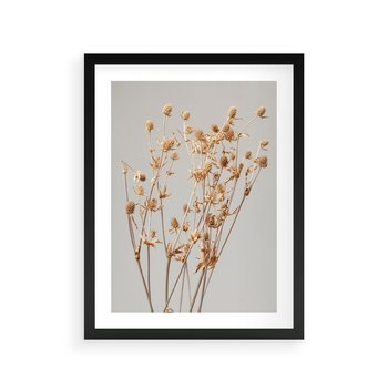 Plakat w ramie 50x70 - Delikatne gipsówki - gipsówka, suche - rama czarna
