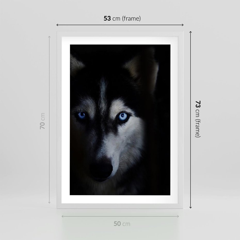 Plakat w ramie 50x70 - Wilk i husky: siła przyjaźni - wilk, husky - rama biała