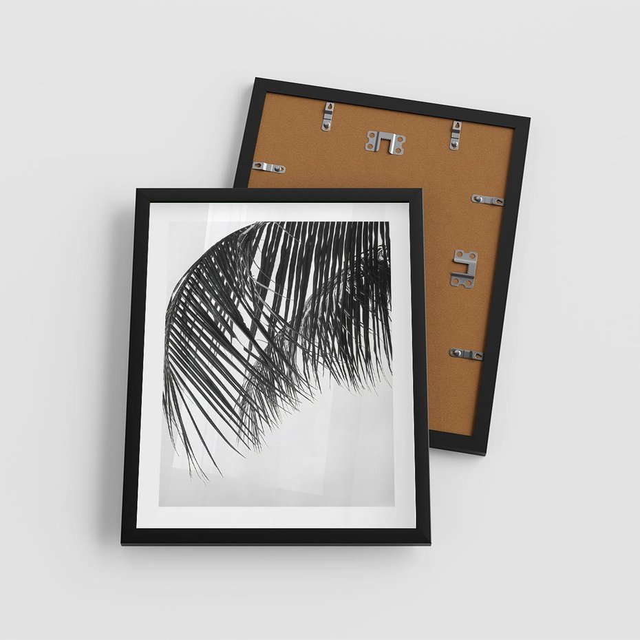 Plakat w ramie 40x50 - Czarno-Biały Kontrast - czarno białe zdjecie, palma - rama czarna
