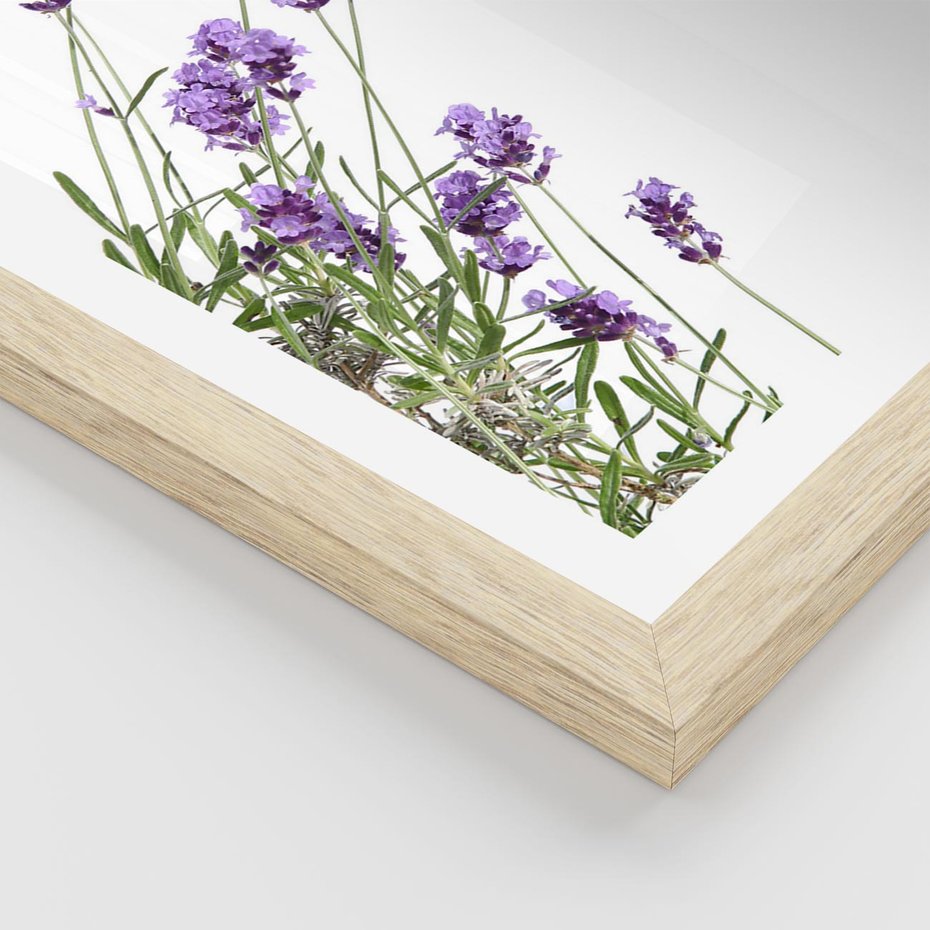 Plakat w ramie 30x40 - Delikatny Urok - lawenda, kwiaty - rama drewno