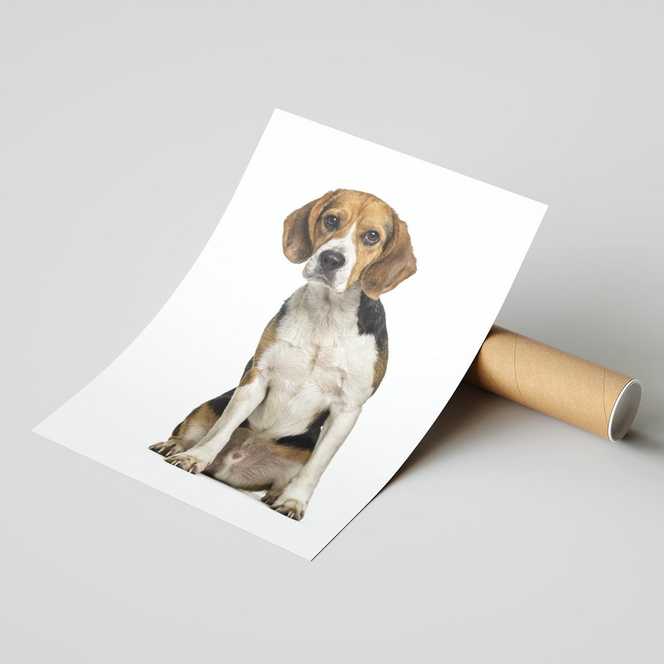 Plakat bez ramy 21x30 - Wierność i radość - pies, piesek