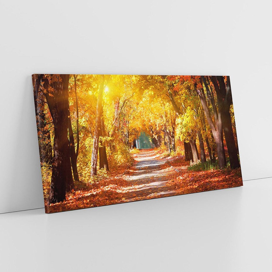 Obraz na płótnie 120x60 - Jesienna Droga: Przechadzka wśród Drzew - jesień, droga