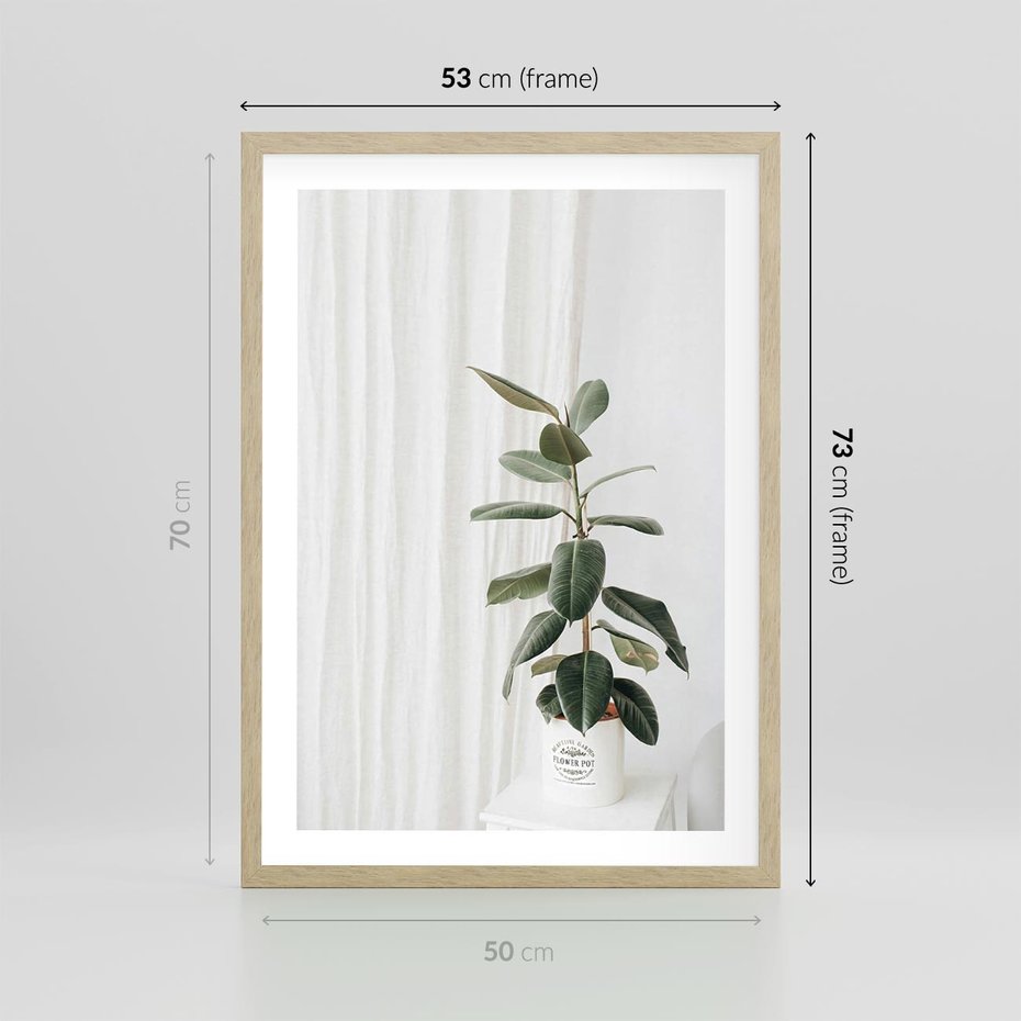 Plakat w ramie 50x70 - Kwiat w Bieli - kwiat w doniczce, białe wnętrze - rama drewno