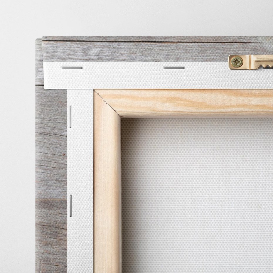 Obraz na płótnie 120x80 - Delikatne dmuchawce w otoczeniu natury - dmuchawce, natura