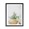Plakat w ramie 50x70 - Eukaliptusowa Świeżość - eukaliptus, liście w koszu z wikliny - rama czarna