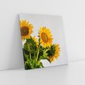 Obraz na płótnie 70x70 - Słoneczna Radość - fotografia, żółte słoneczniki