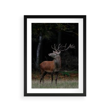 Plakat w ramie 50x70 - Spotkanie z naturą - jeleń, las - rama czarna