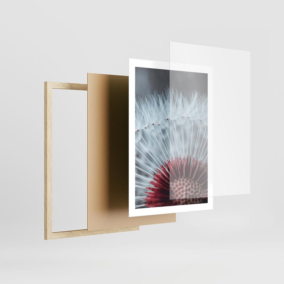 Plakat w ramie 50x70 - Dmuchawiec w Detalu - dmuchawiec, zdjęcie makro - rama drewno