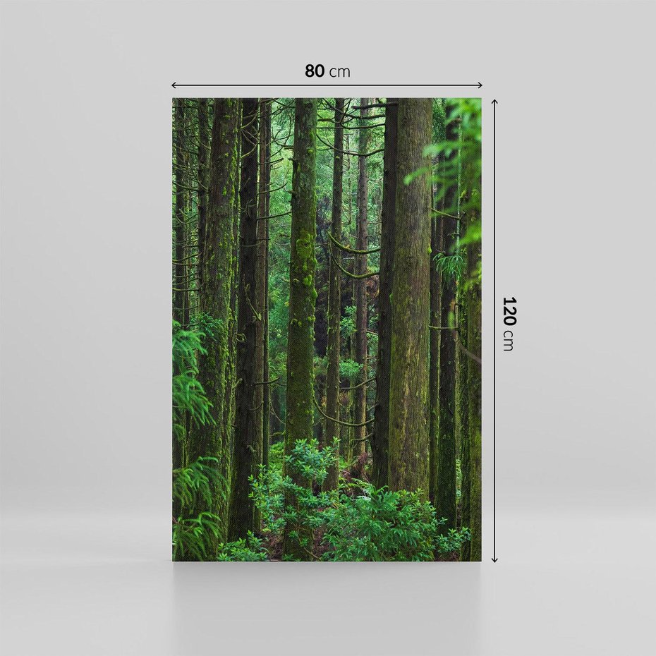 Obraz na płótnie 80x120 - Mistyka leśnej głuszy - las, drzewa