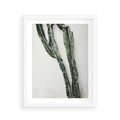 Plakat w ramie 40x50 - Zielona Roślina z Liśćmi - zielona roślina, liście - rama biała