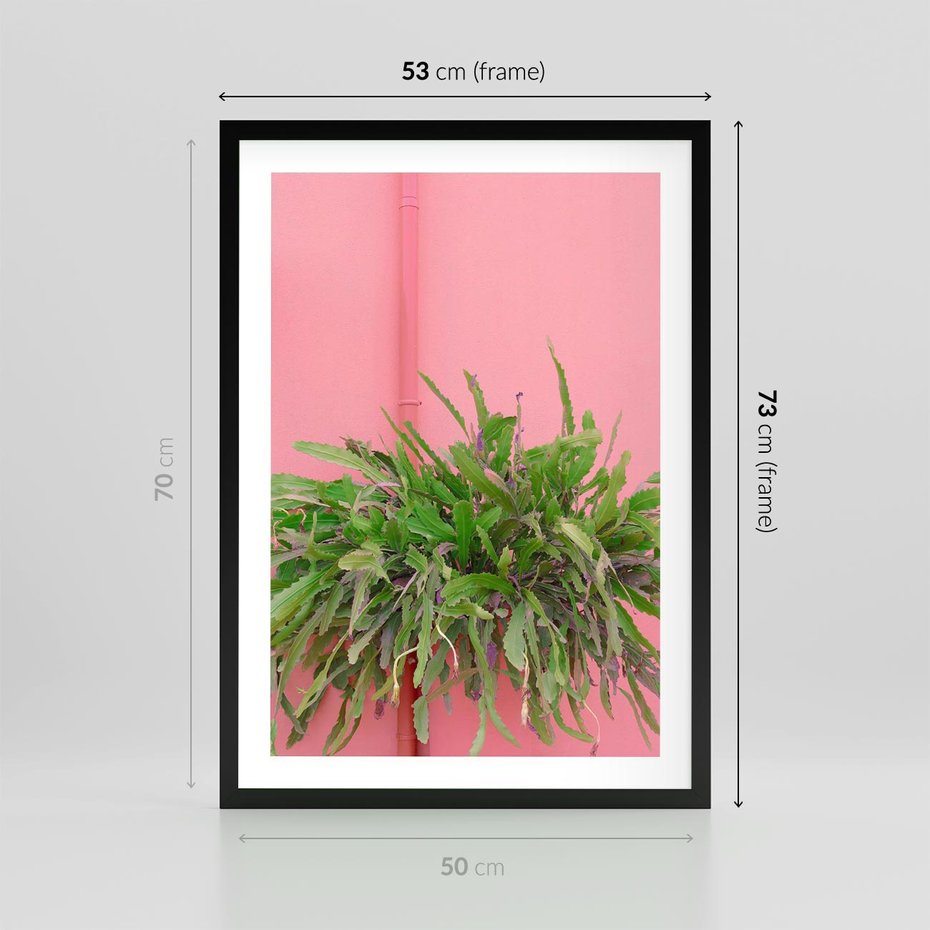 Plakat w ramie 50x70 - Fotografia Rośliny z Różowym Tłem - fotografia, zielona roślina na tle różwj ściany - rama czarna