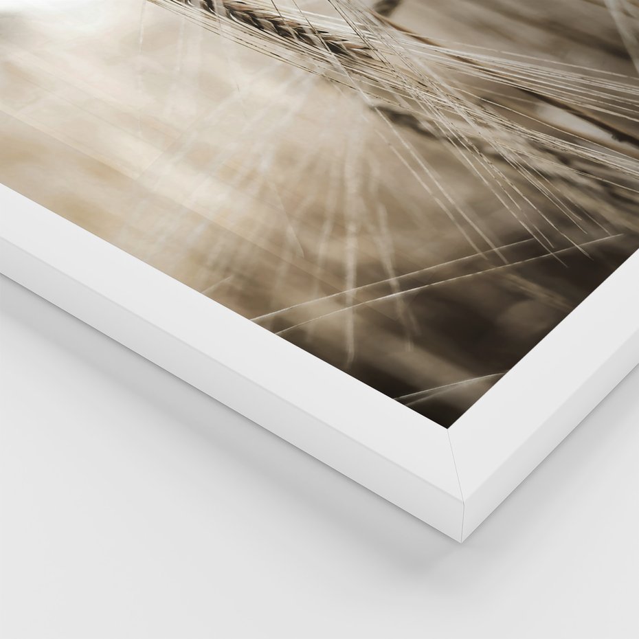 Zestaw obrazy w ramie 30x40 galeria - Pola, pszenicy, młyn, rustykalnie - rama biała