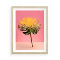 Plakat w ramie 50x70 - Majestatyczna monstera - monstera, liść - rama drewno