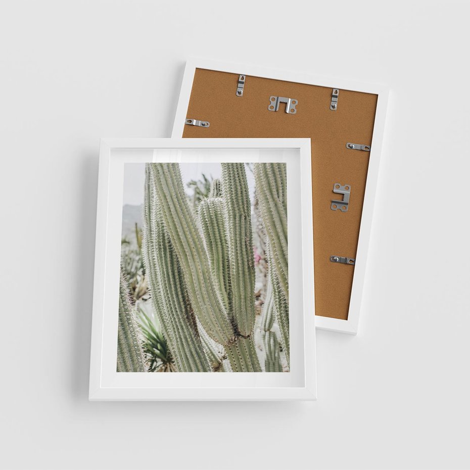 Plakat w ramie 40x50 - Duże Kaktusy w Pejzażu - kaktus, duże kaktusy na pustyni - rama biała